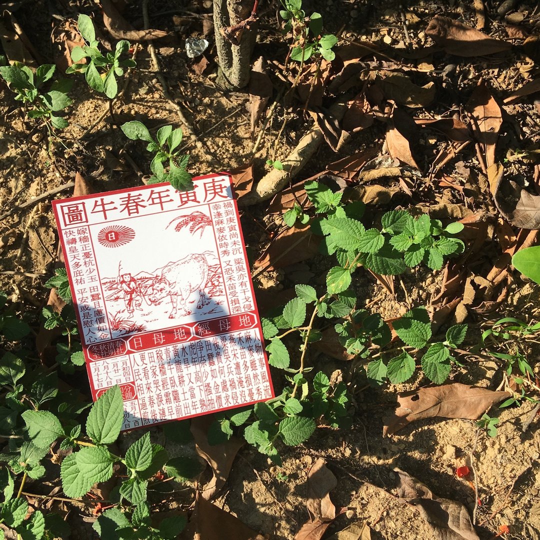 明信片 | #12 通胜 - 卡片/明信片 - 纸 红色