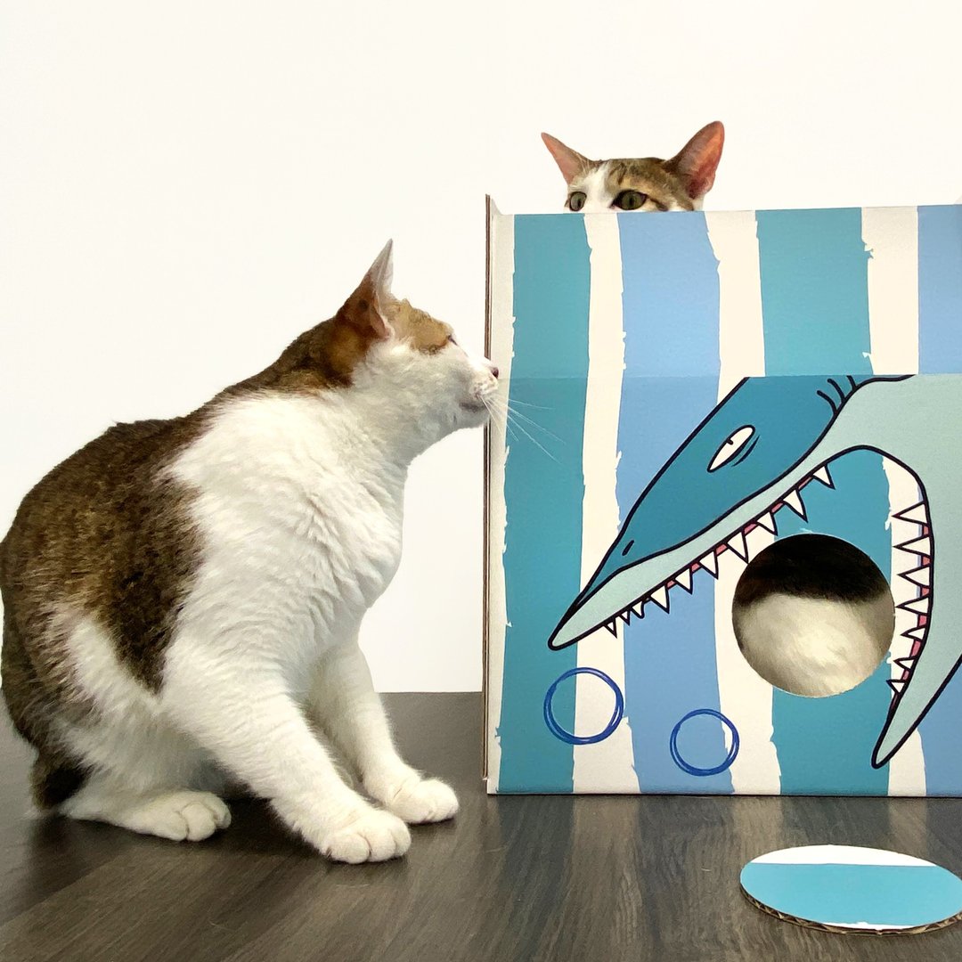 被吃猫箱 | 你看不见我/ 戳戳乐/ 逗猫纸箱 - 玩具 - 纸 