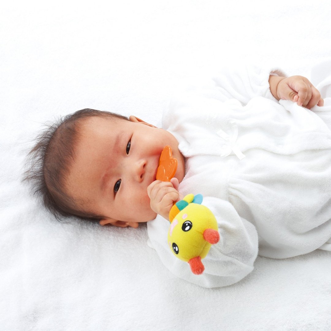新小蜜蜂咬舔玩具-固齿器/宝宝玩具-快速出货 - 玩具/玩偶 - 其他材质 黄色
