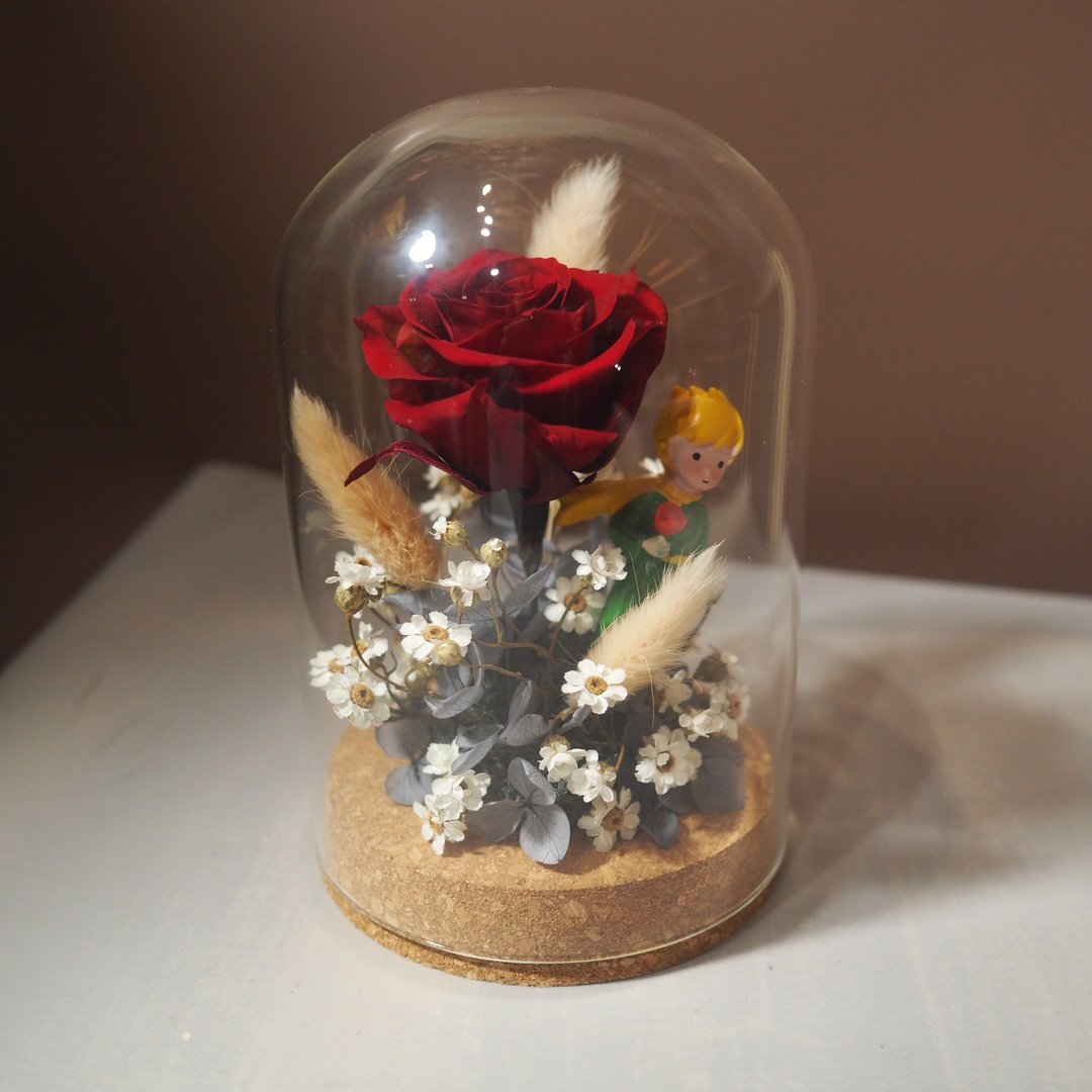 小王子永生花罩盅 - 植栽 - 植物．花 