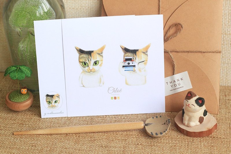 喵摄影师 - 猫猫感谢卡 - 卡片/明信片 - 纸 绿色