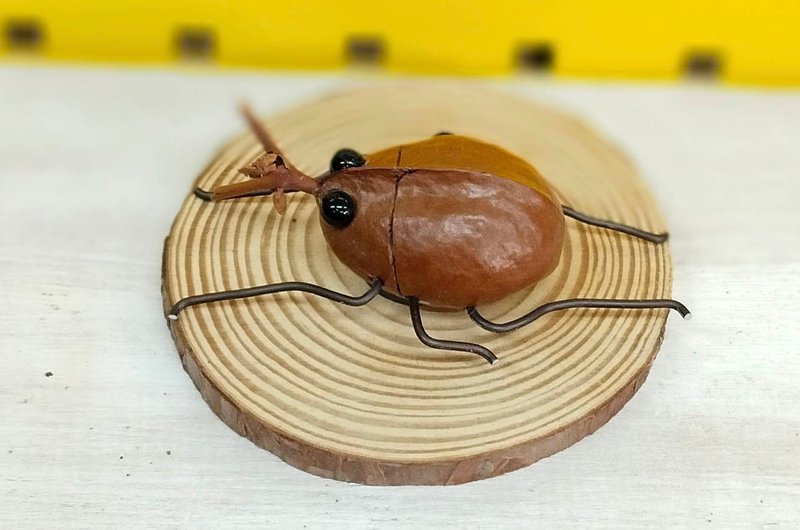 独角仙磁铁-果实种子艺术创作 - 冰箱贴/磁贴 - 其他材质 