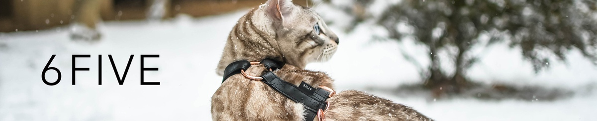 设计师品牌 - 6FIVE