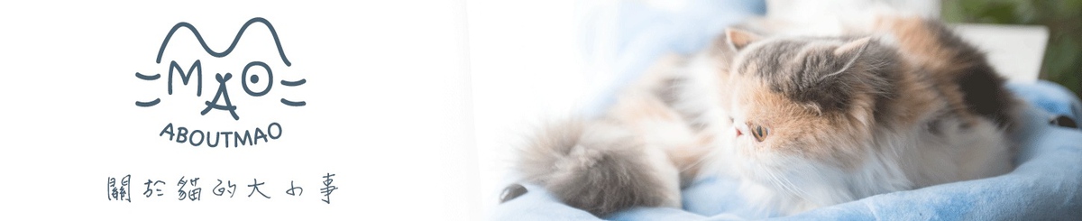 设计师品牌 - 关于猫ABOUTMAO