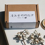 漫无目的的佐伊