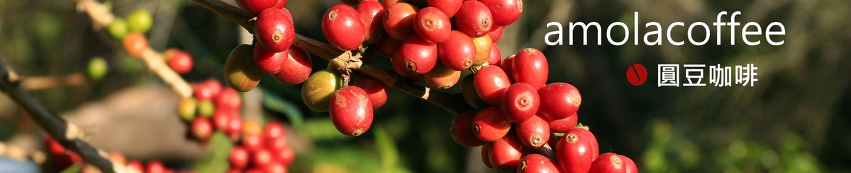 Amola Coffee