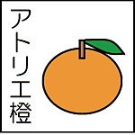 アトリエ橙