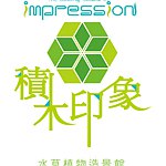 积木印象