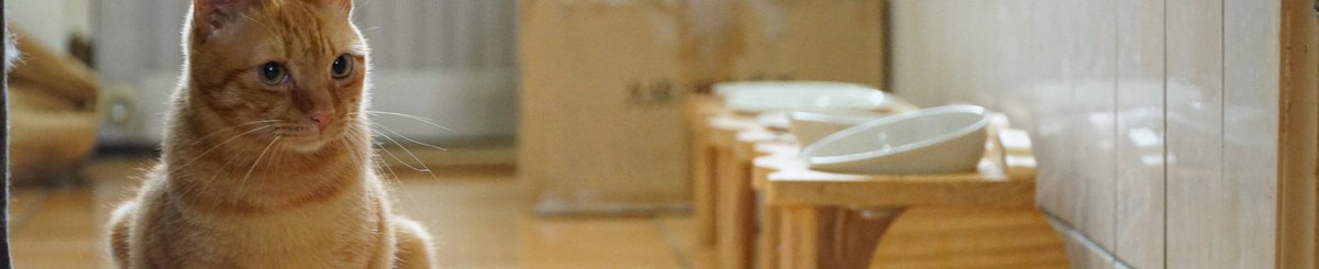 设计师品牌 - 比比酥猫中途