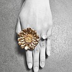 设计师品牌 - bibiandmi