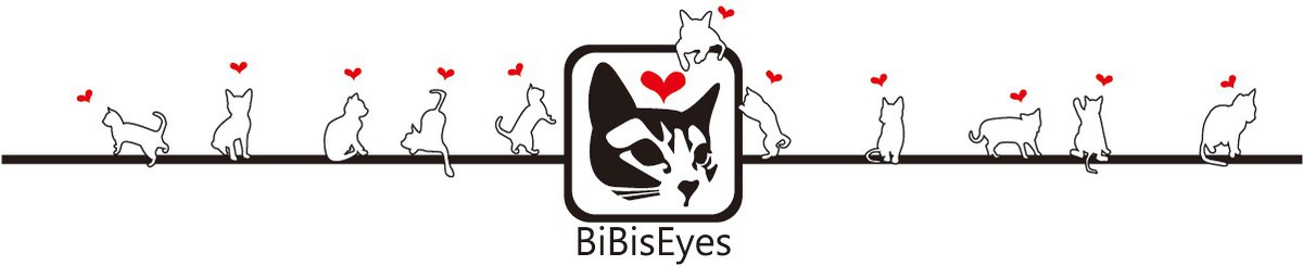 bibiseyes