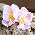 设计师品牌 - BijouByKatie