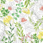设计师品牌 - BOTANICA