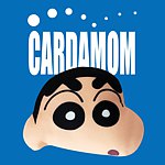 卡答国际cardamom