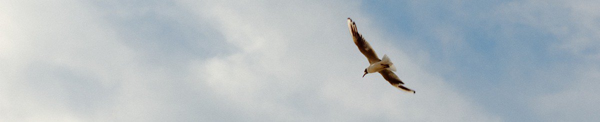 设计师品牌 - ceekay