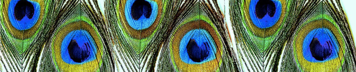 设计师品牌 - 未完待续