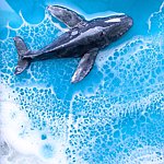 设计师品牌 - DariKo