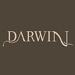 设计师品牌 - DARWIN