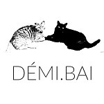 设计师品牌 - DÉMI.BAI
