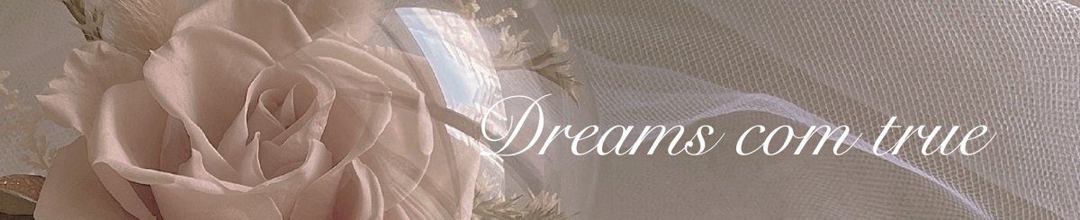 Dreams come true 永生花/干燥花