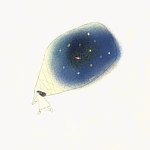 设计师品牌 - EmaYu