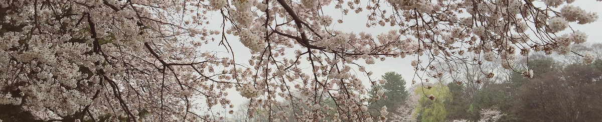 eva chou 手作飾品