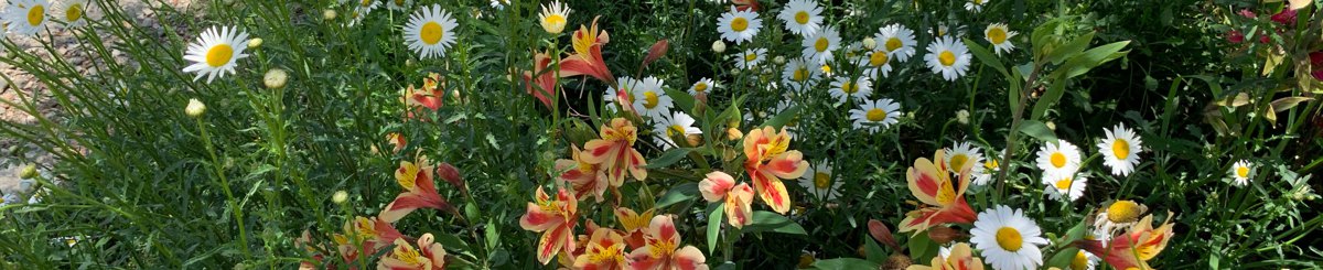 设计师品牌 - 花菓波F2Boom