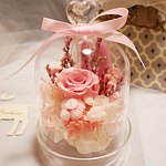 设计师品牌 - 花日常-FLOWERFOREVERYDAY