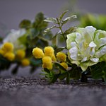 设计师品牌 - 从小姐变成太太