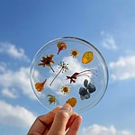 设计师品牌 - herbariastudio