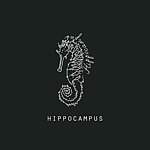 设计师品牌 - Hippocampus