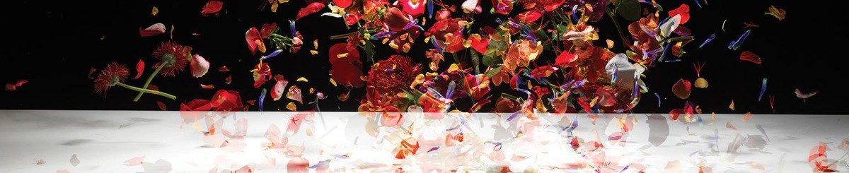 设计师品牌 - Viber Ink