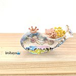 设计师品牌 - irohaya-whale-