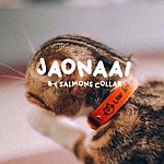 设计师品牌 - jaonaai