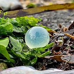 Japan Sea Glass