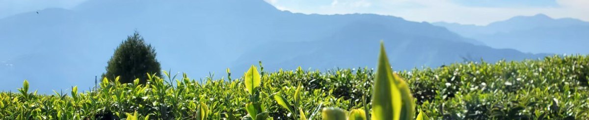 鶴茗台灣茶