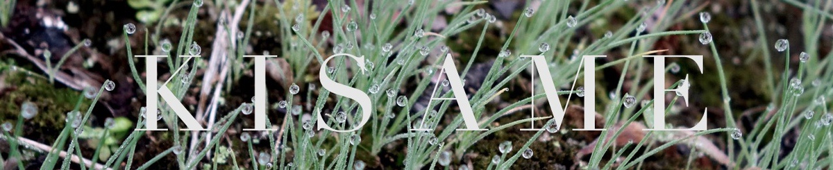 设计师品牌 - KISAME