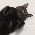 设计师品牌 - Kanoma 咖の间