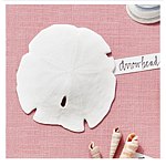 Sea Shell Beyond The Sea