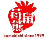 设计师品牌 - kumakichi store