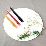 设计师品牌 - studio kusukusu