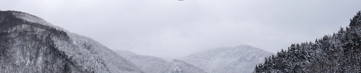 京紫