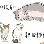 设计师品牌 - lin-studio