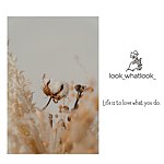 设计师品牌 - Look_Whatlook_