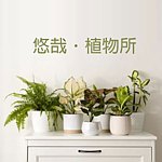 设计师品牌 - 悠哉．植物所