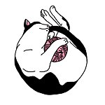 maru_kamik