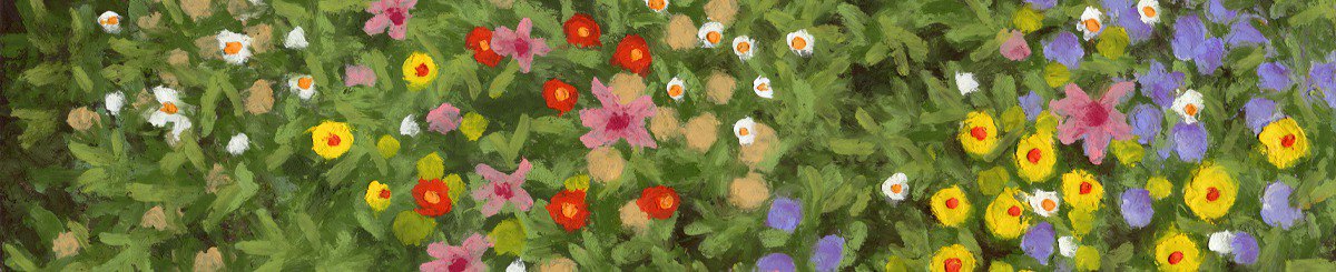 设计师品牌 - mdsi