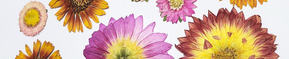 Colour Freak Studio 花色狂热