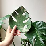 设计师品牌 - 觅陶 Mitao Studio