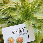 设计师品牌 - 牧可寓所